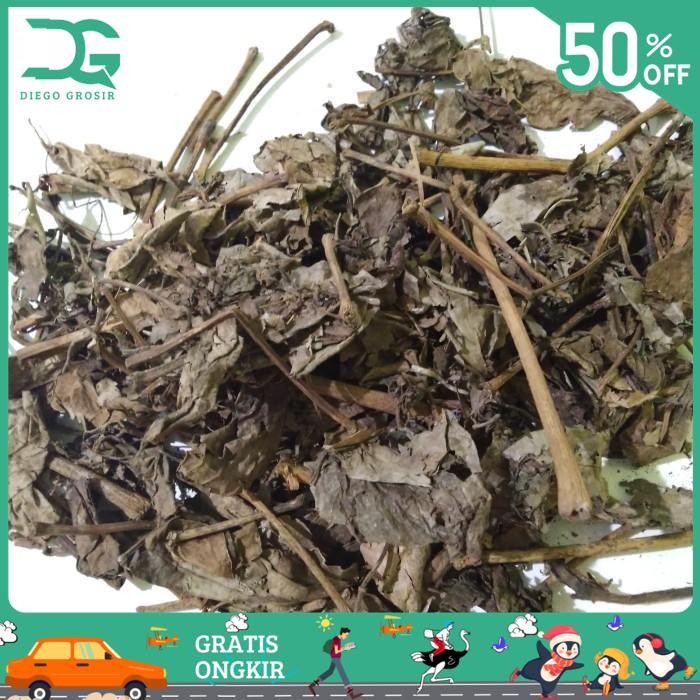 

BAHAN ALAMI DAUN SIRIH KERING 1KG / DAUN SIRIH HIJAU KERING BY DIEGO GROSIR TERMURAH!!