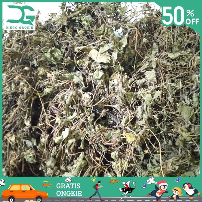 

BAHAN ALAMI DAUN PEGAGAN KERING 1KG , DAUN ANTANAN KERING , DAUN KAKI KUDA KERING BY DIEGO GROSIR KUALITAS PRODUK TERBAIK!!