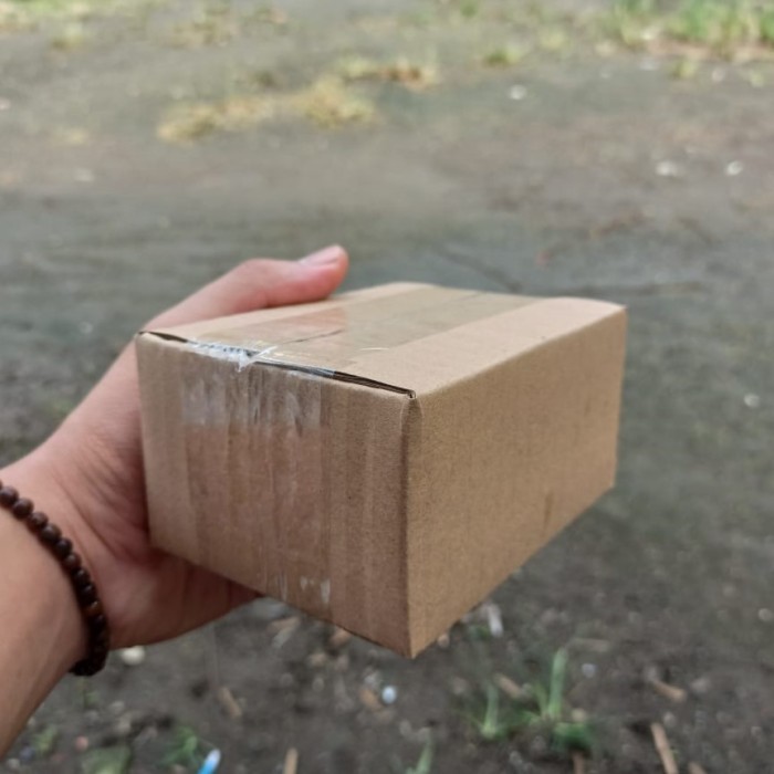 

Kardus Packing Polos Ukuran 12 x 9 x 6 cm GROSIR