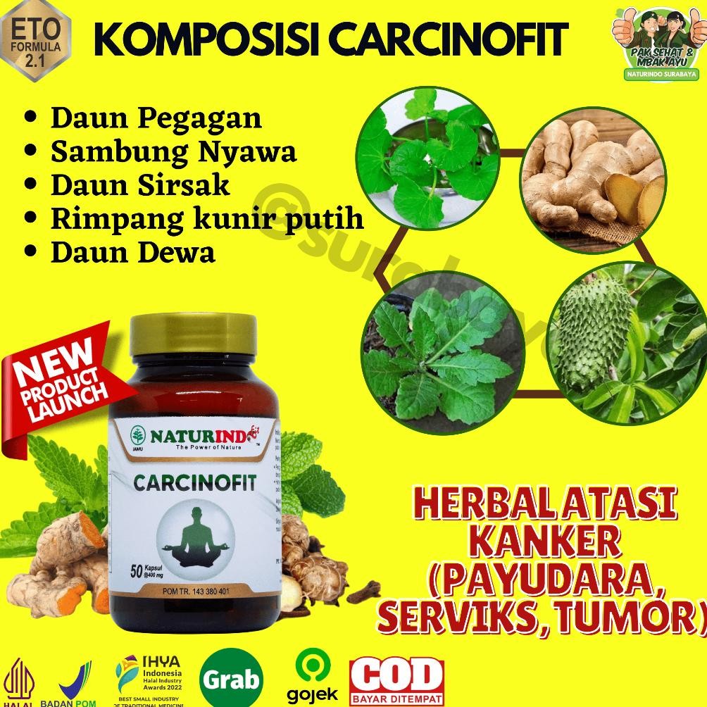 Ready Obat Benjolan Payudara Obat Kanker Payudara Obat Tumor Payudara Kanker Serviks Kanker Herbal O