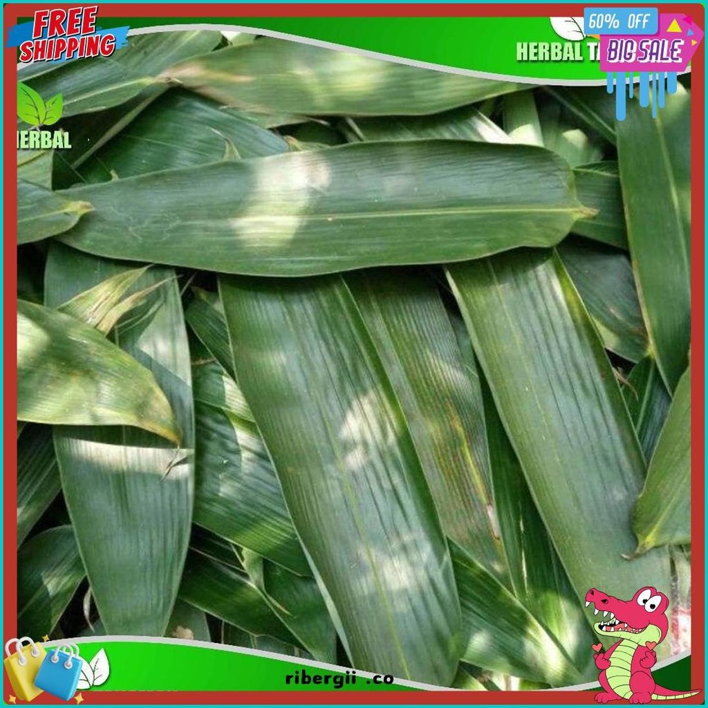 

Daun Bambu Jumbo 100 Lembar - Daun Bambu Bakcang - Daun Bacang Fresh (Cod)