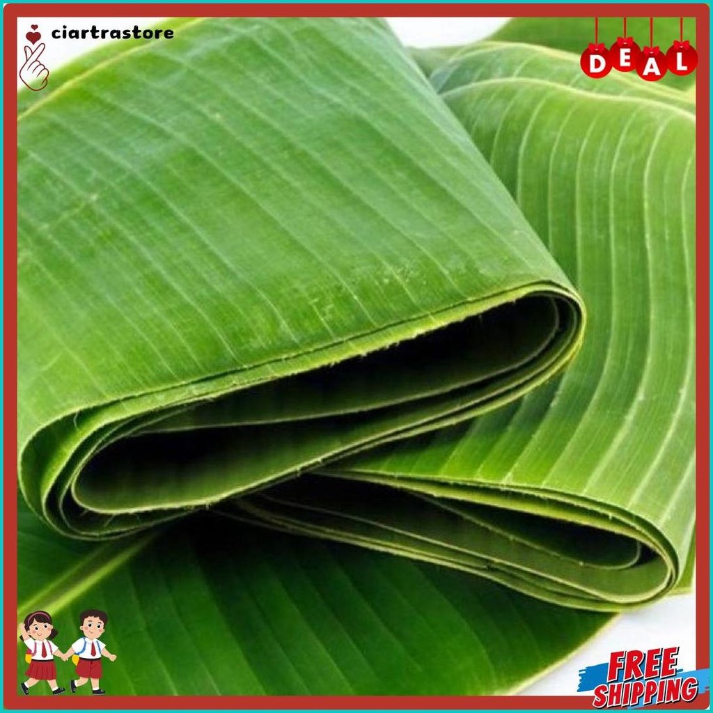 

Daun Pisang Organik Per Lipat (Lagi Diskon)