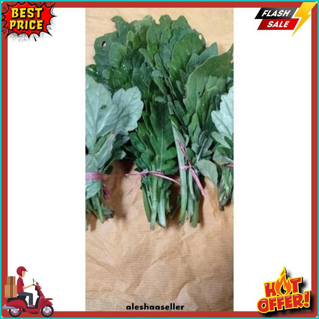 

Daun Dewa Segar 50 Gram Alami Herbal (6.6)