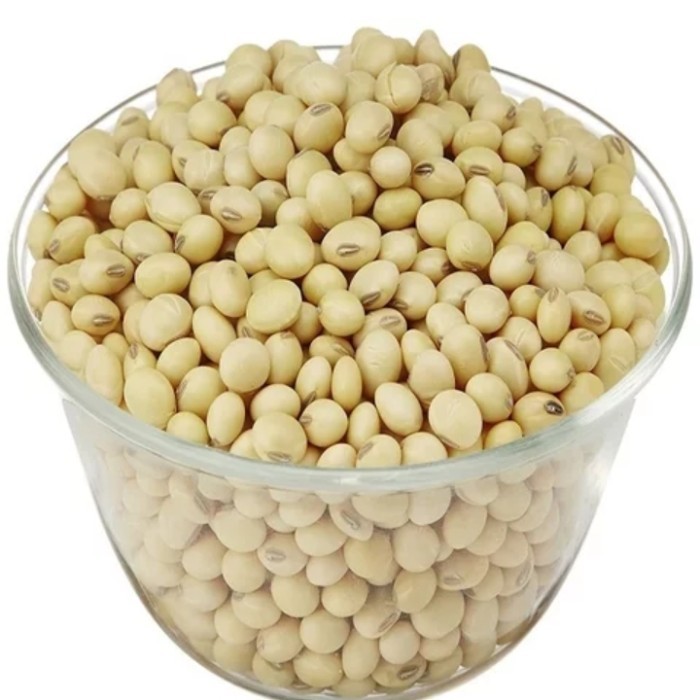 

BOOM SALE KACANG KEDELAI SUPER GREAD A KEMASAN 1KG