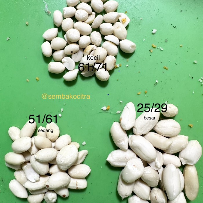 

BERKUALITAS Kacang Kupas Mentah 1kg / 1000gram