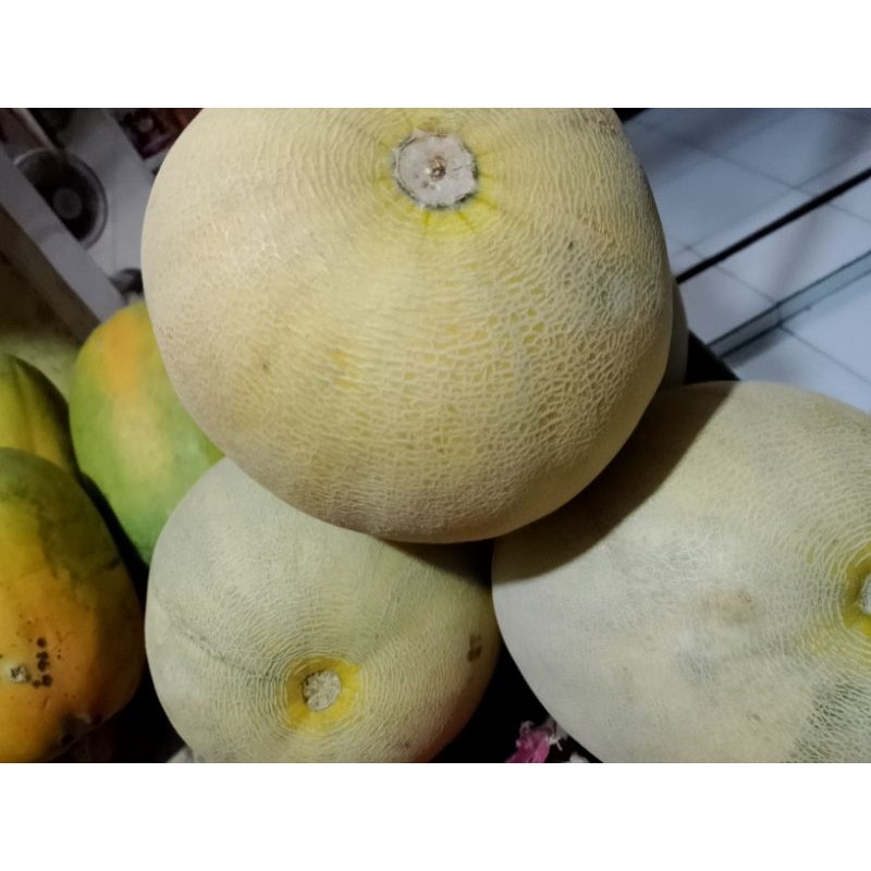 

melon madu