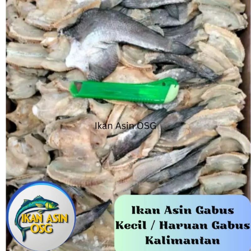 

Ikan Asin Gabus Kecil Keriting Super 500gr