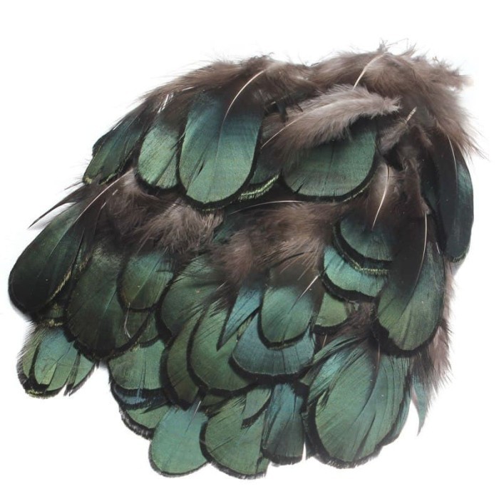 

YE206 Natural Pheasant Feathers 2.5x7cm TERBARU