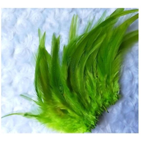 

ZA485 Local Chicken Tail Feathers - Bulu Ekor Ayam Lokal (10pcs) OBRAL