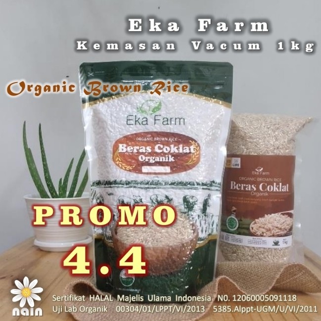 

TERBARU Beras Coklat Organik Ekafarm