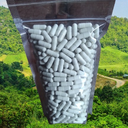 

Cuci Gudang Herbal Temulawak Curah Isi 500 Kapsul