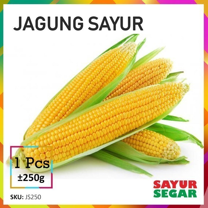 

Jagung Manis - Sayur [1 Buah ]