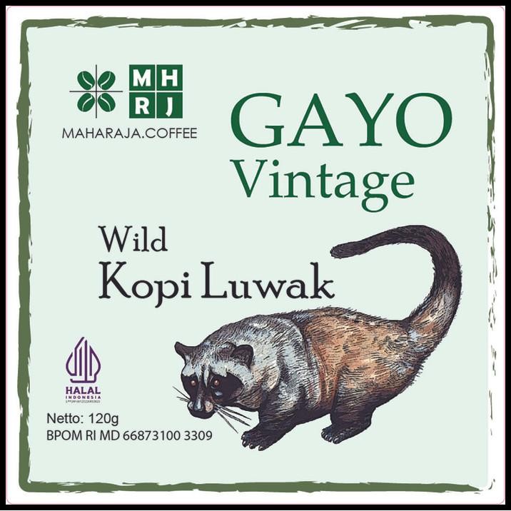 

Fresh Roast Kopi Luwak Gayo Vintage 120G Arabika Sangrai