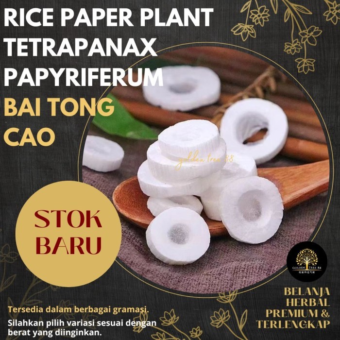 

Legend - 5 Gram Premium Bai Tong Cao Tetrapanax Papyriferus