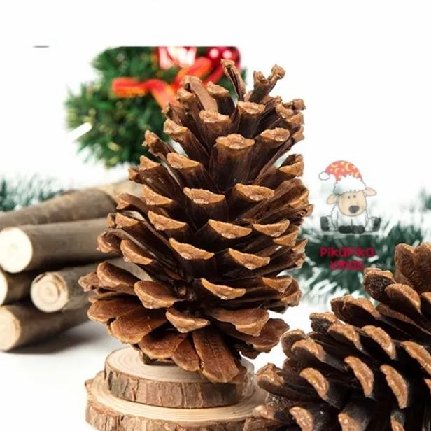 

BUAH PINUS KERING NATAL / NATURAL PINE CONE /PINECONE CHRISTMAS