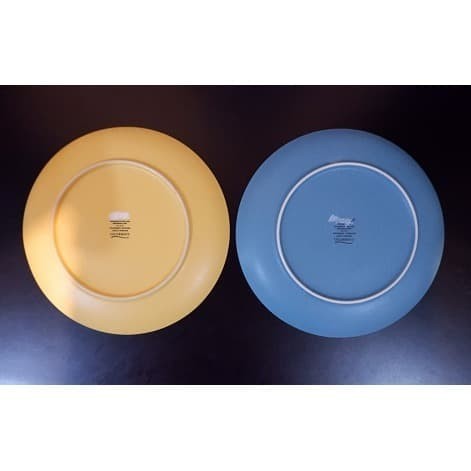 PIRING NORITAKE COLORWAVE (27 CM)