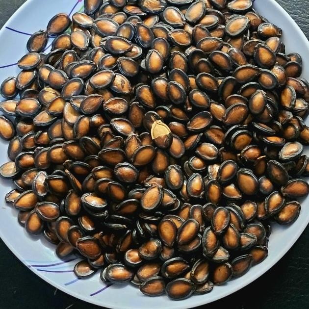 

Aci Kuaci Hitam Labu Tidak Asin 500G