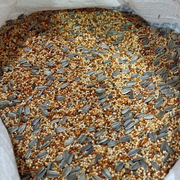 

Let Campur Komplit Plus Kuaci 25Kg - Pakan Loved Campur Karungan