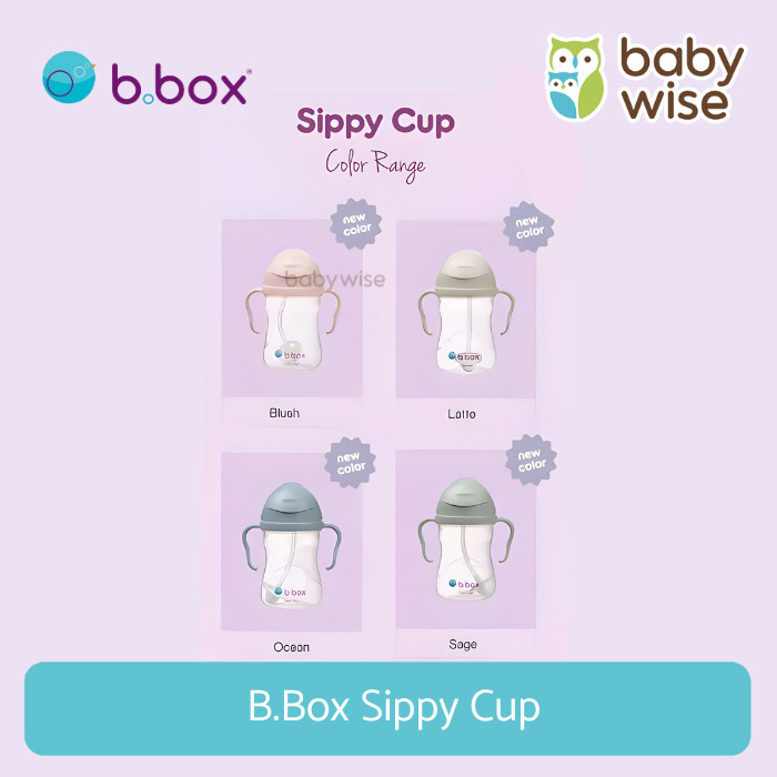 BBox BBox Sippy Cup - Botol Minum