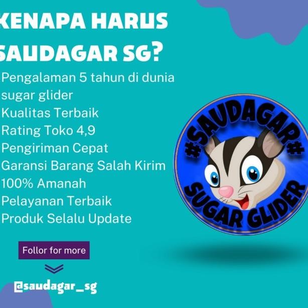 Kandang Kecil Sg/Tupai Terbang/Hamster/Kelinci