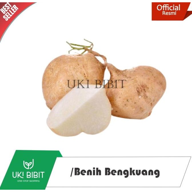 

( 1 Kg ) Biji Bengkuang COD