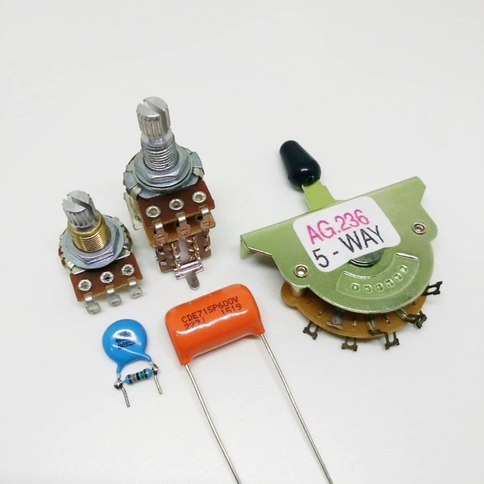 Set Part Electronics Gitar Potensio Push Pull Selector 5 Way