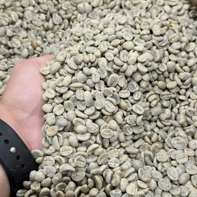 

Green Bean Arabica Guatemala Huehuetenango | Biji Kopi Mentah