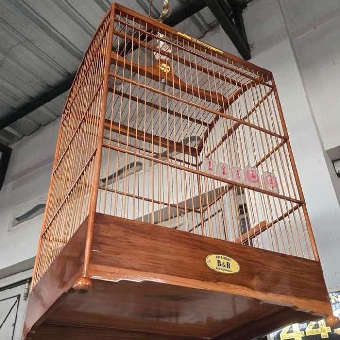 BnR reborn 2 sangkar nepak