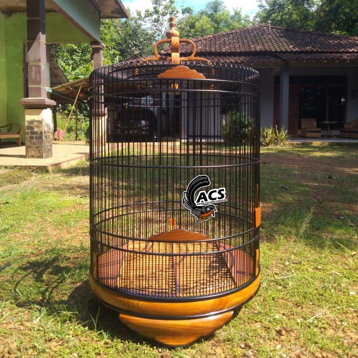 Sangkar Burung Murai Batu, Sangkar Harian, Sangkar Jati Polos
