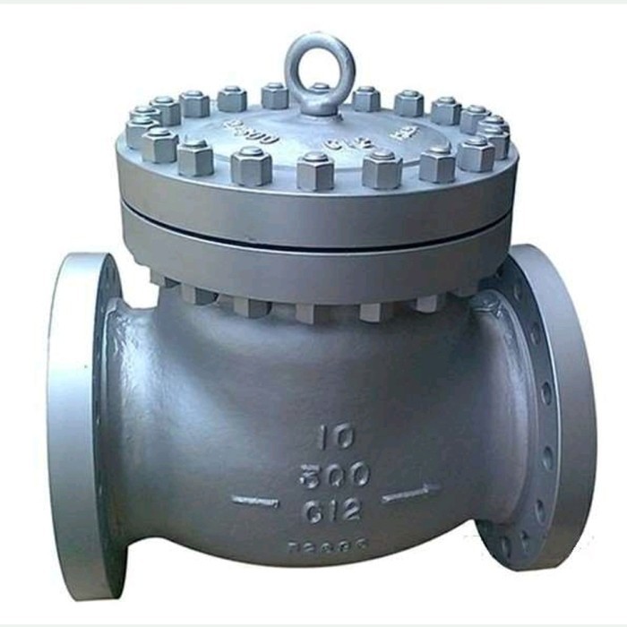 Valve, Swing Check, 10" 300#RF ANSI, A216-WCB Swing Check Valve 10" 300#RF ANSI, A