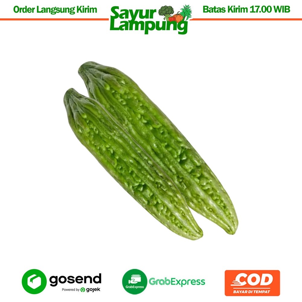 

Pare 1 Kg - Sayur Lampung