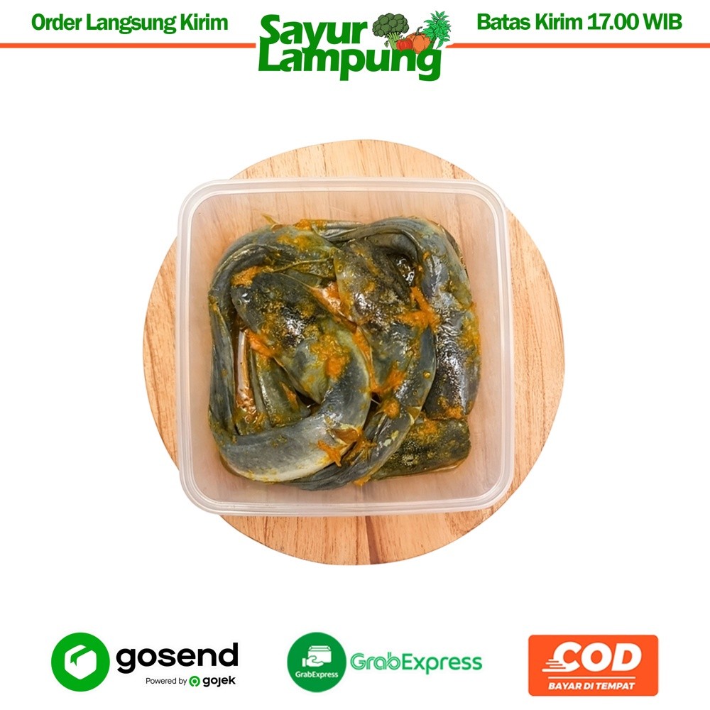 

Ikan Lele Bumbu Kuning 500 Gr - Sayur Lampung