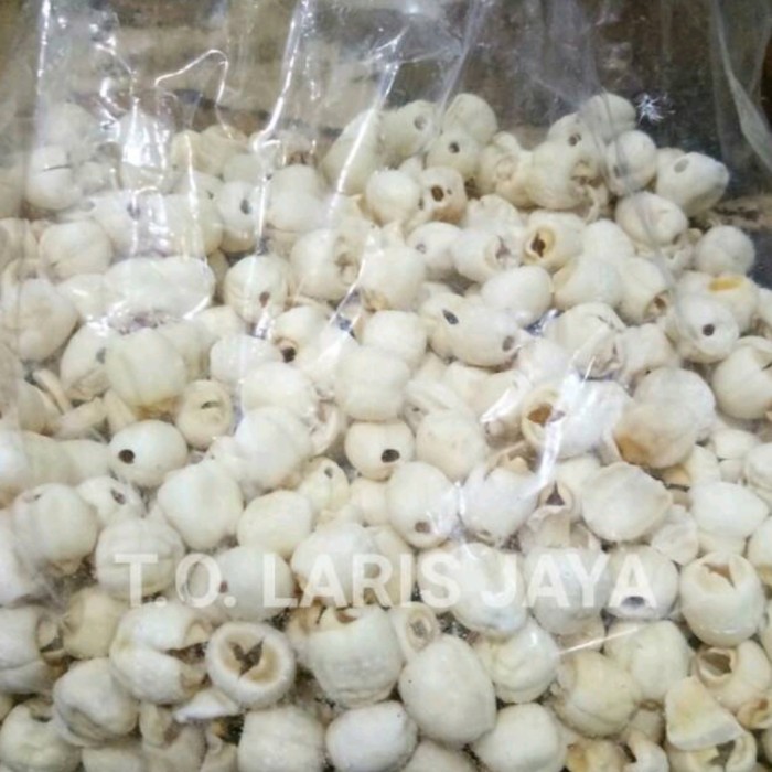 

BIJI TERATAI 500 GRAM