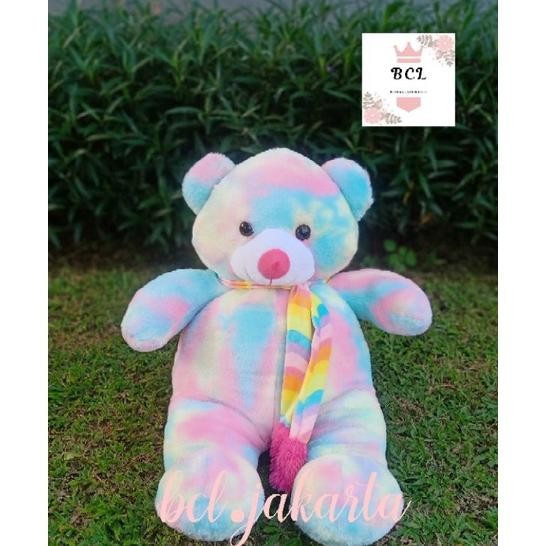 Boneka Teddy Bear Rainbow Jumbo /  Beruang Besar Rainbow