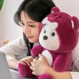 Boneka Teddy Bear Beruang Hoodie Lotso