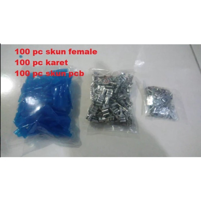 SKUN PCB 100 SET