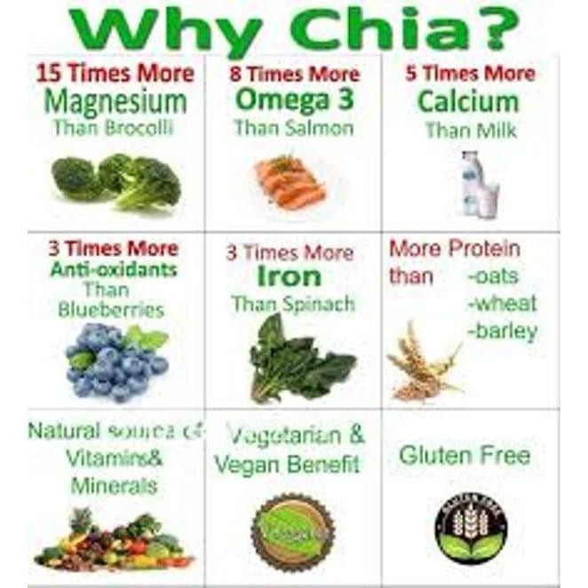 

3 Kg Biji Chia Hitam Organik I Organic Black Chia Seeds