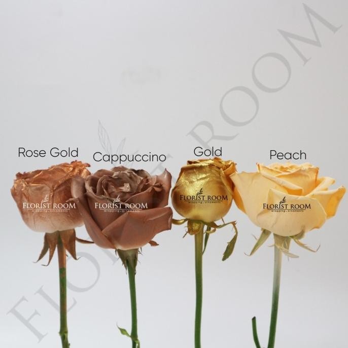 

Cool Color - Semprotan Pewarna Bunga Pilox - Barang Florist - Fresh
