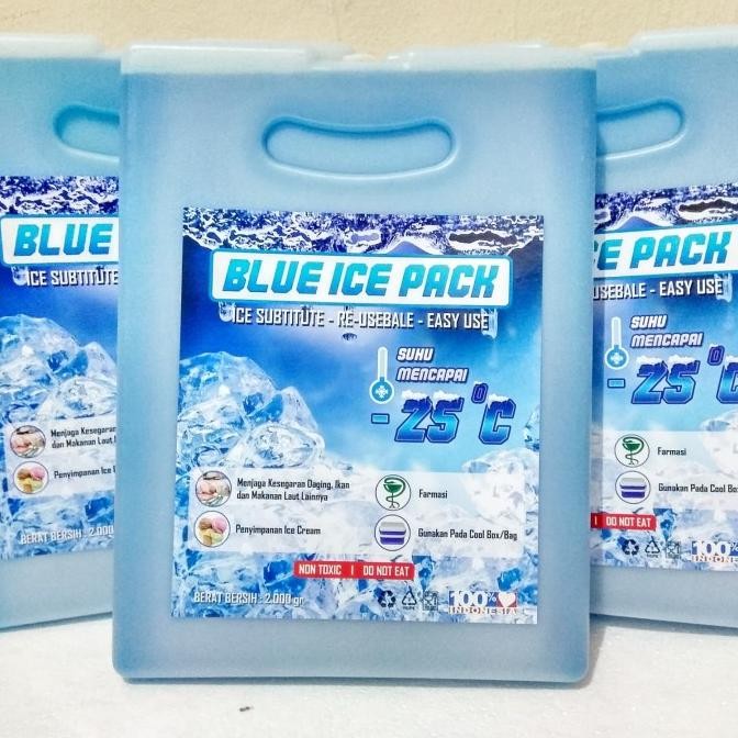 

Terbaru Ice Pack Besar Icepack Kotak Besar Blue Ice Pengganti Dry Ice