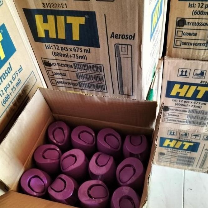 HIT AEROSOL 675ML OBAT NYAMUK SEMPROT BAYGON - BLOSSOM KEMASAN 1 DOS