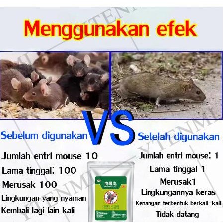 Kapur barus anti tikus 100% pengusir tikus asli Anti Tikus Mobil Pil Kamper - JUAL MURAH