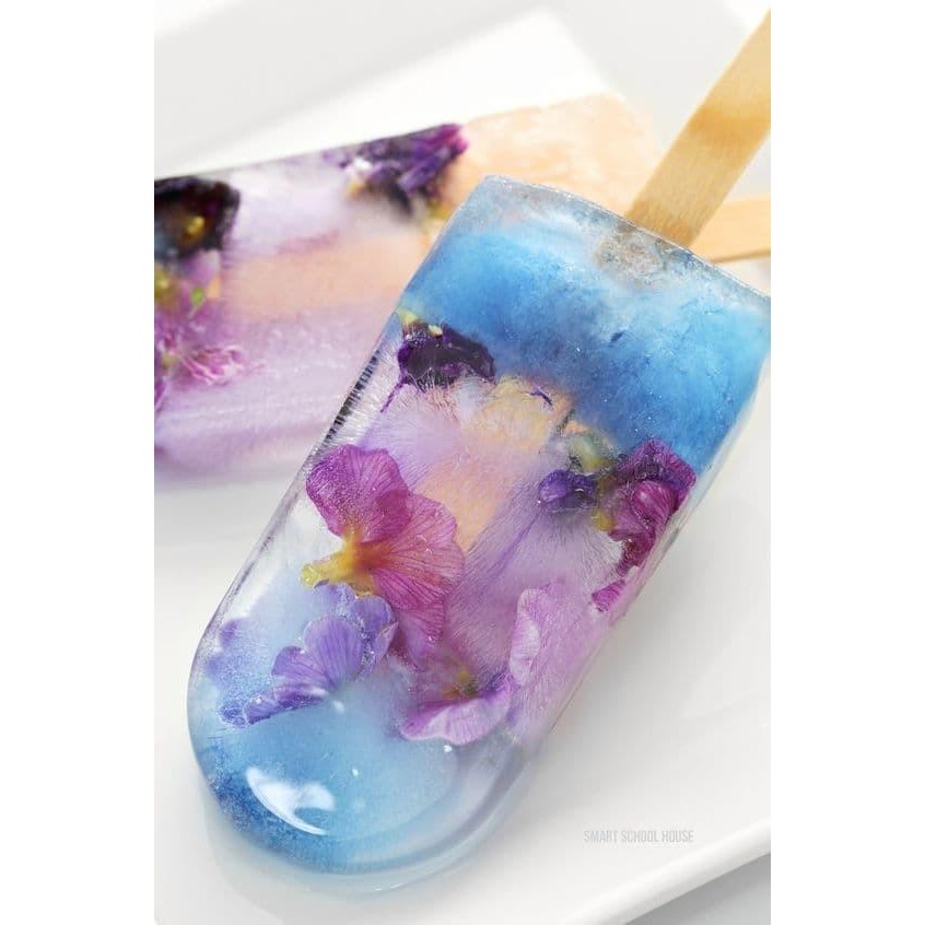 

Dried Edible Flower Mix Bunga 5Gr Kering Hiasan Kue Makanan Bunga 3