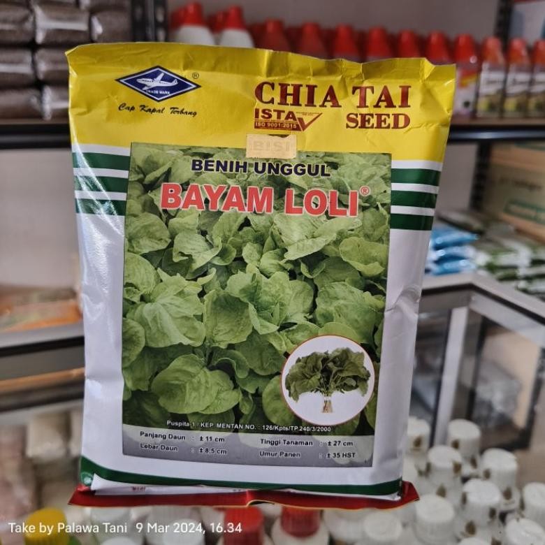Kk - Benih Bayam Loli 500gr