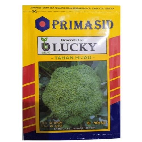 

Lucky Bejo 5000 Biji Benih Bibit Brokoli Broccoli F-1 Produk Original Pabrik