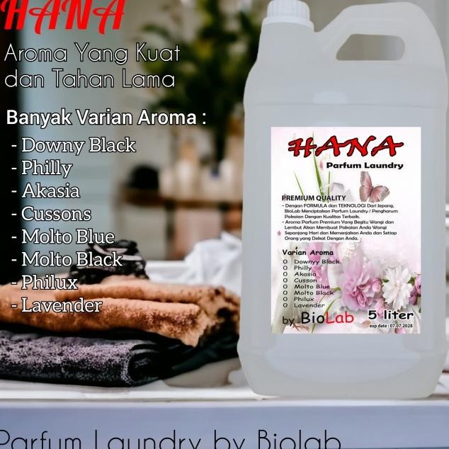 Parfum Laundry 5 Liter Pewangi Paaian
