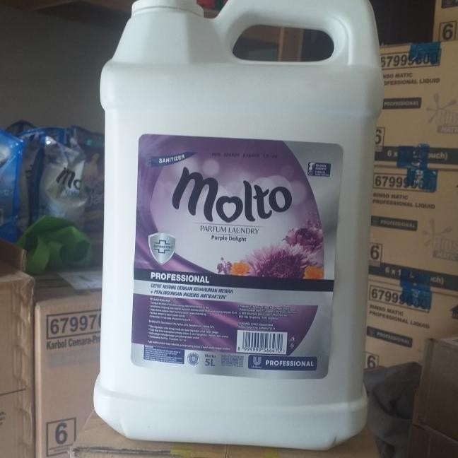 Molto Parfum Laundry 5 Liter Anti Bateri