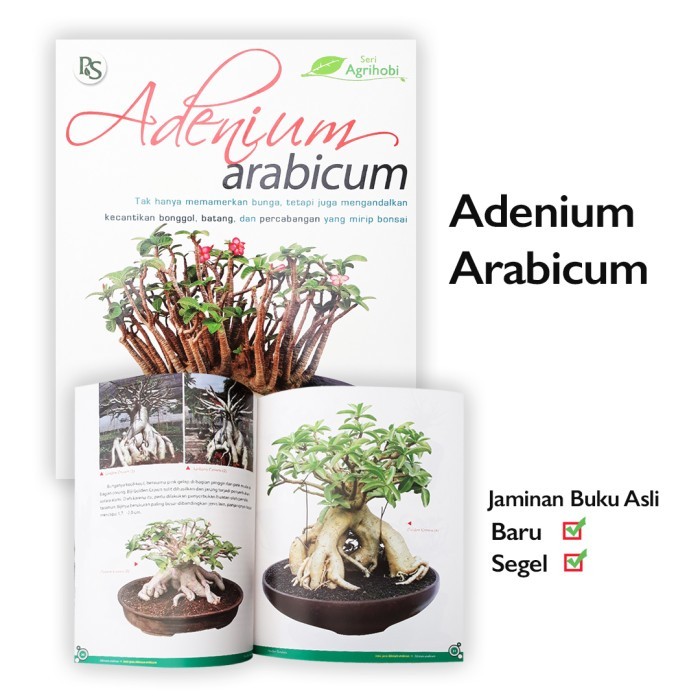 

HOT SALE! Buku Hobi Bertanam Adenium Arabicum Tanaman Hias mirip Bonsai