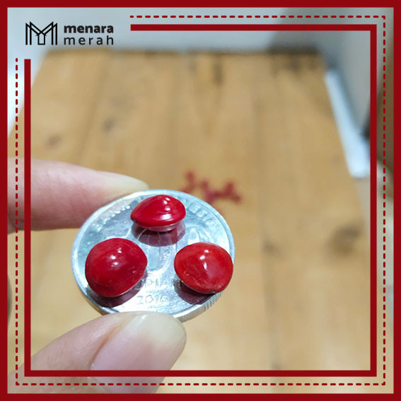 Biji saga merah untuk kerajinan