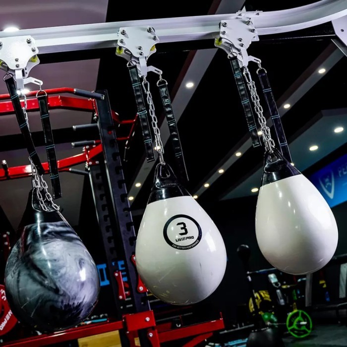 LIVEPRO Water Heavy Bag/ Boxing Punch Ball/ Samsak isi Air