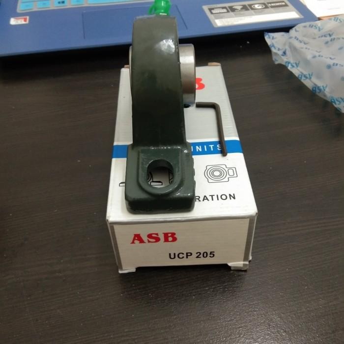 Pillow Block Bearing Asb P205 (25Mm)